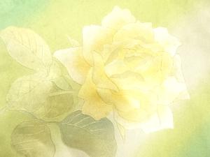 アンティーク　金彩薔薇模様名古屋帯